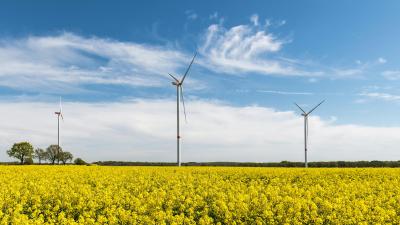 Como a Sustentabilidade Pode Ser Integrada na Gestão Industrial