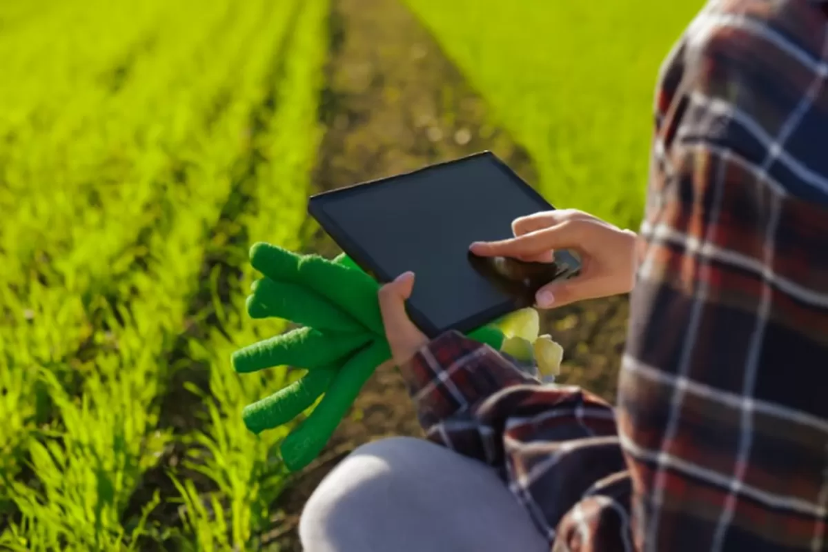 Tecnologia e Sustentabilidade: Sistema para Distribuidora de Alimentos Naturais e Orgânicos