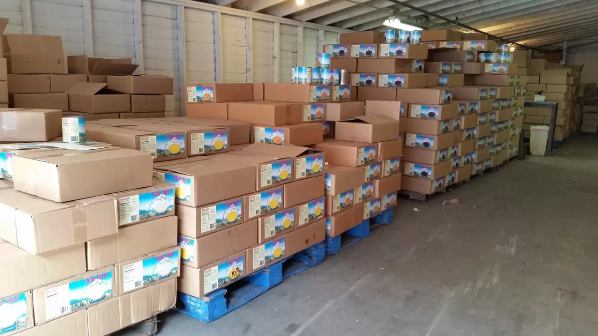 Por Que Sua Empresa Precisa de um Sistema para Distribuidora de Alimentos Agora - AtacadistaPro