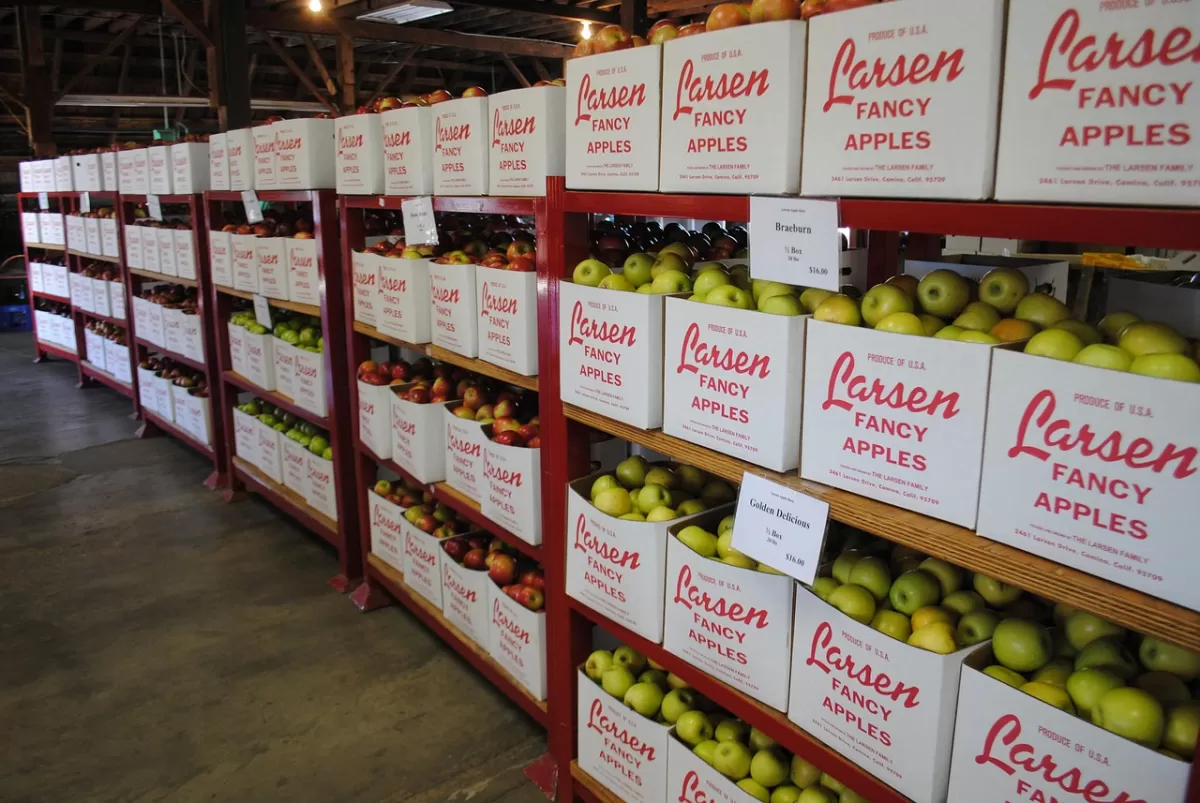 Sistema para Distribuidora de Alimentos: Controle Total de Estoque, Vendas e Entregas - AtacadistaPro